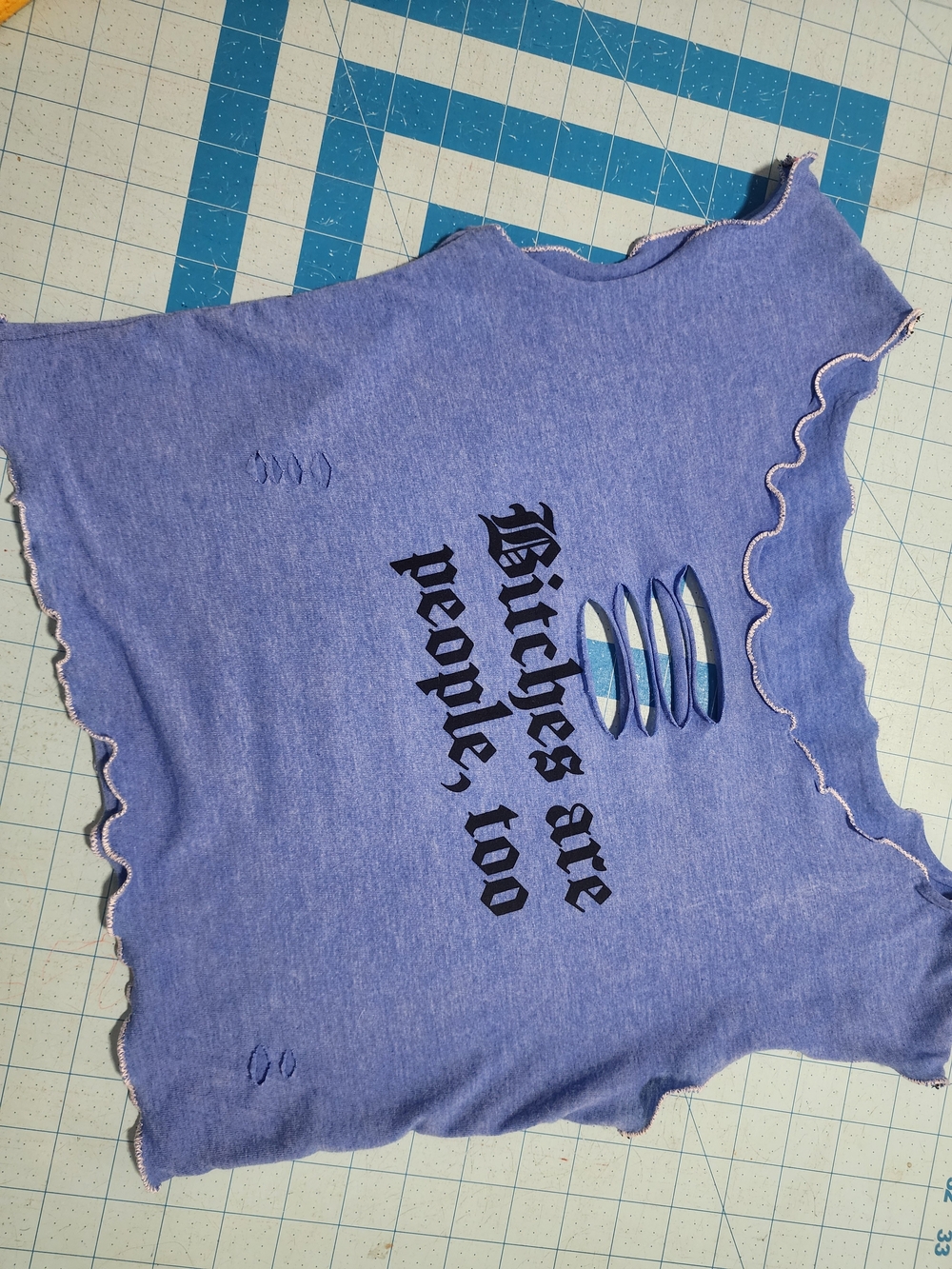 Bitches Are People Too Funny Handmade Crop Top Distressed Size Small